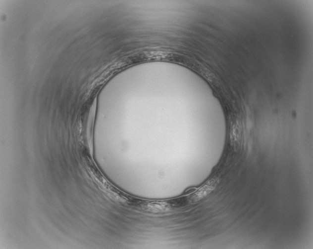 X0000051250666200507152151