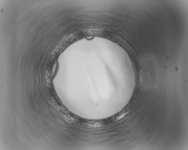 X0000051250667200507152151