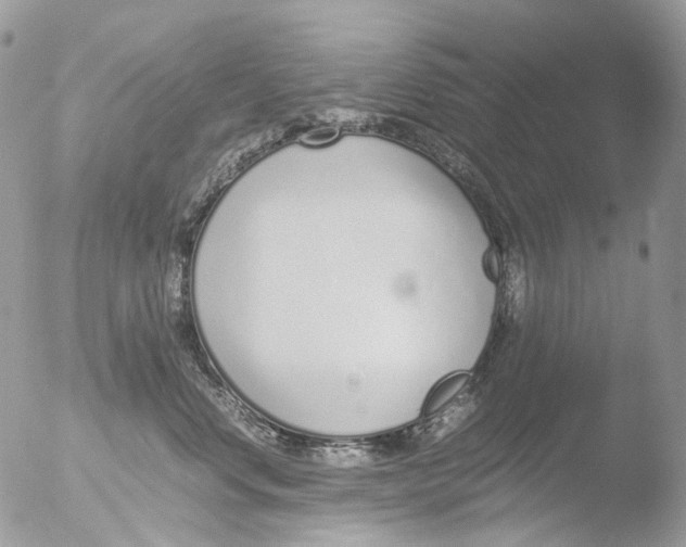 X0000051250668200507152151