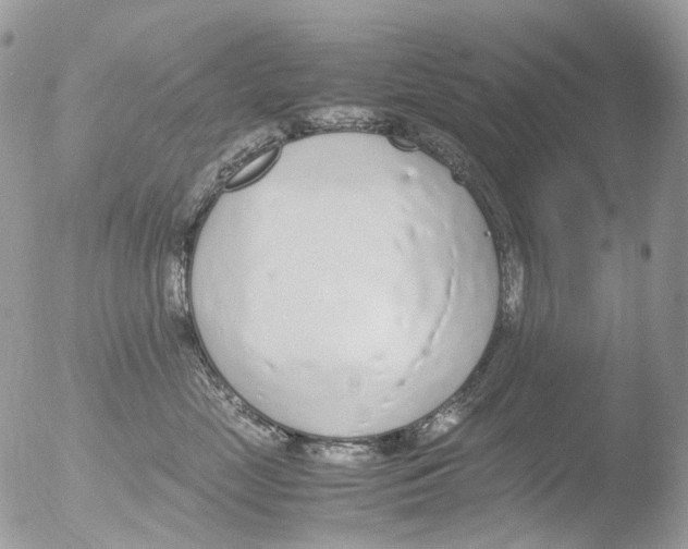 X0000051250669200507152151