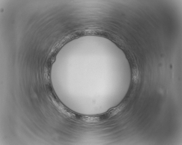 X0000051250670200507152151