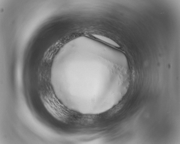 X0000051250671200507152151