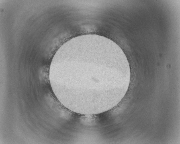 X0000051250672200507152151