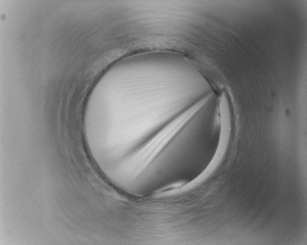 X0000051250673200507152150