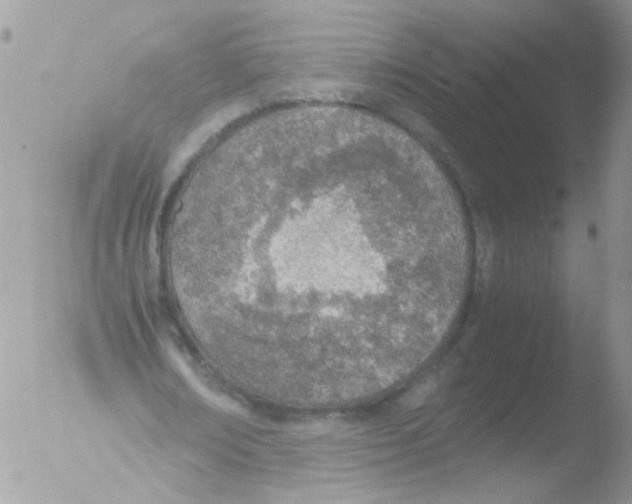 X0000051250674200507152150