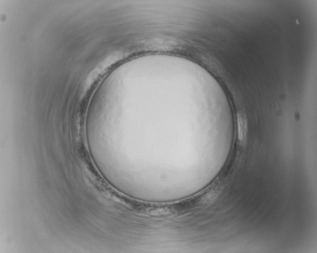 X0000051250675200507152150