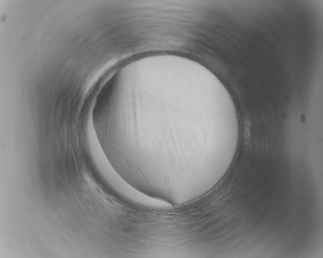 X0000051250676200507152150