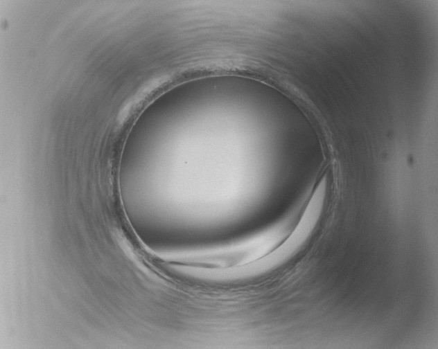 X0000051250677200507152150