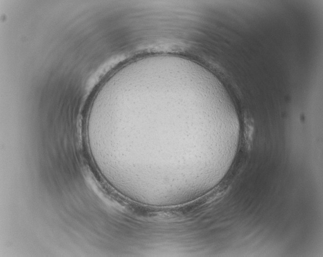 X0000051250678200507152150