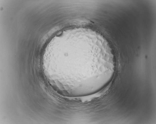 X0000051250679200507152150