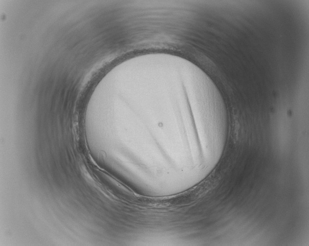 X0000051250680200507152150