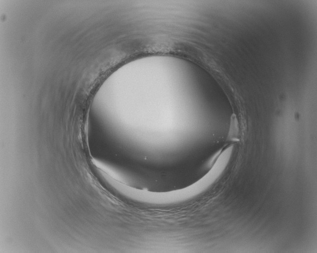 X0000051250681200507152150