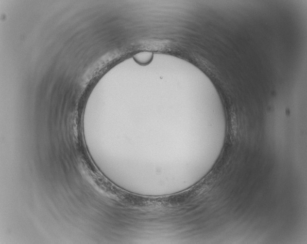 X0000051250682200507152150