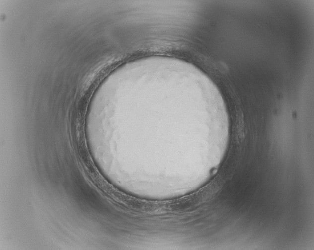 X0000051250683200507152150