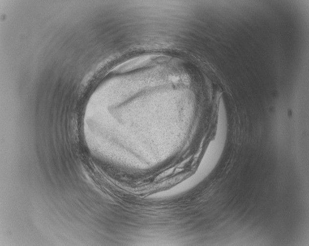 X0000051250684200507152150