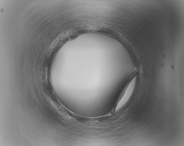 X0000051250685200507152150