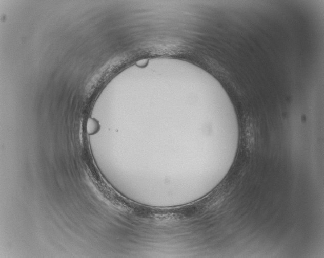 X0000051250686200507152150