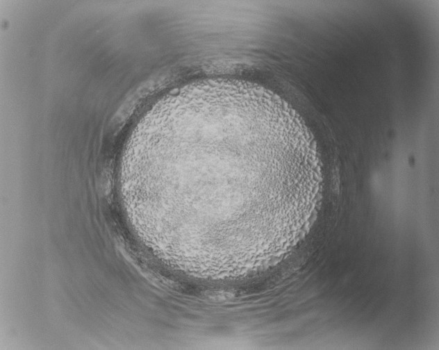 X0000051250687200507152150