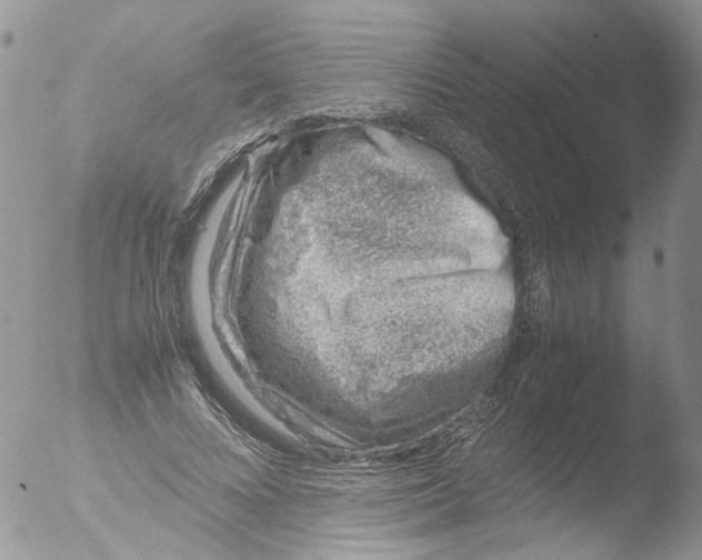 X0000051250688200507152150