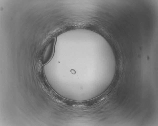 X0000051250689200507152150