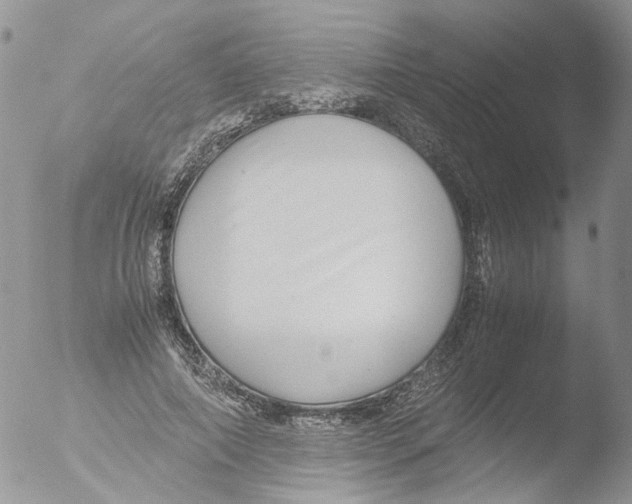 X0000051250690200507152150