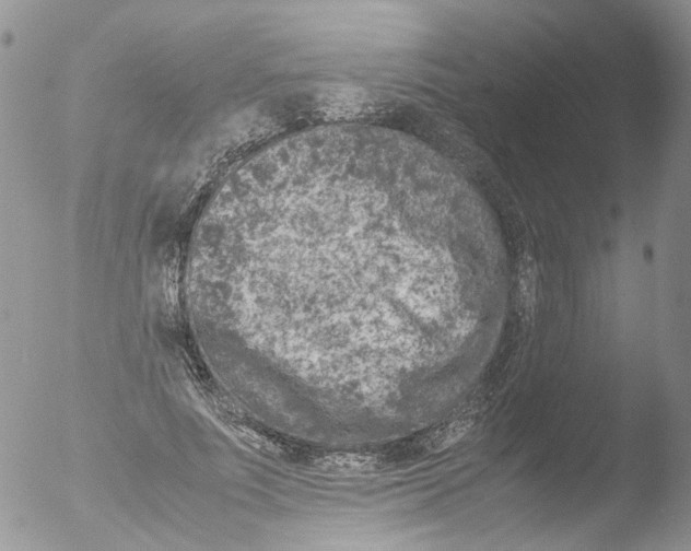 X0000051250691200507152150