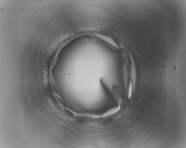 X0000051250692200507152150