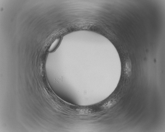 X0000051250693200507152150