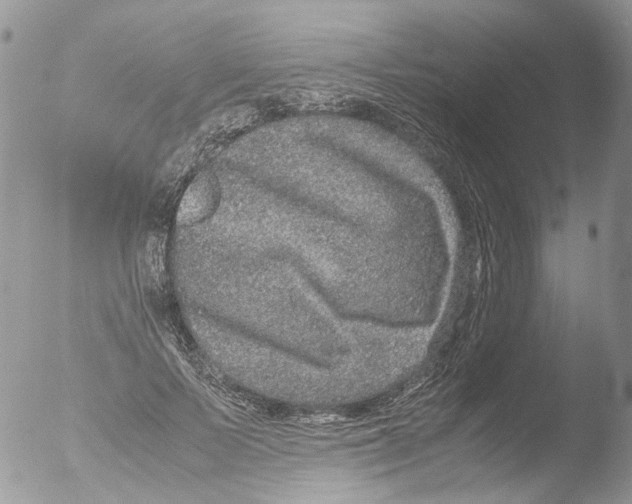 X0000051250695200507152150