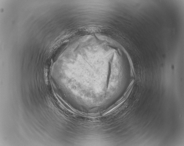 X0000051250696200507152150