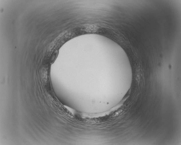 X0000051250697200507152150