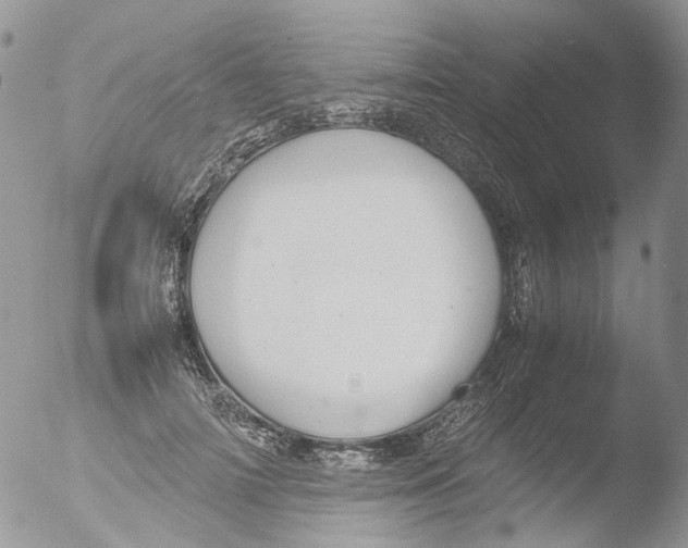 X0000051250698200507152150