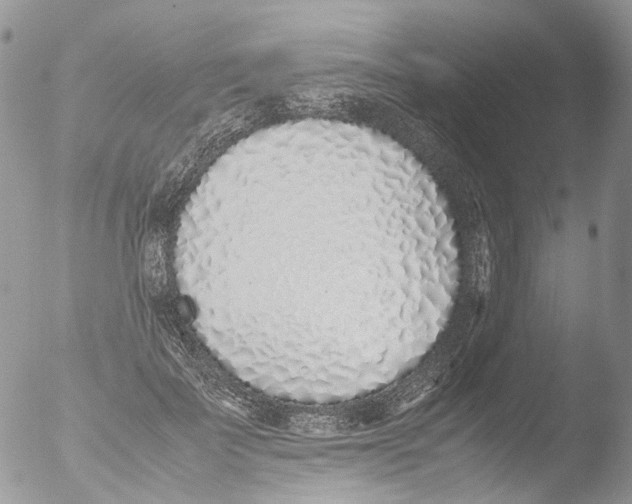 X0000051250699200507152150