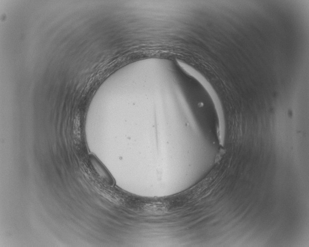 X0000051250700200507152150