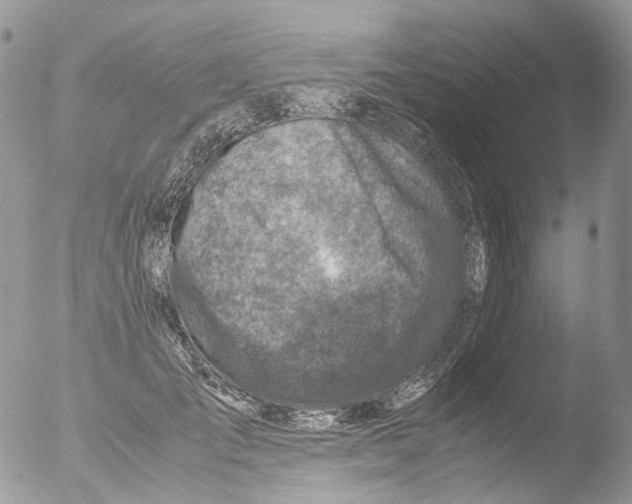 X0000051250701200507152150