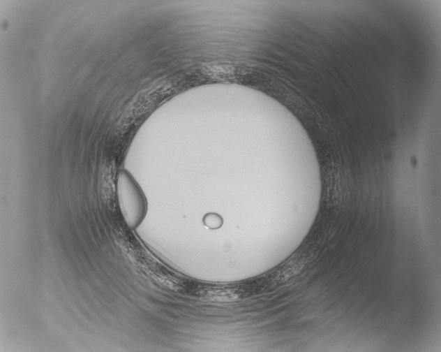 X0000051250702200507152150