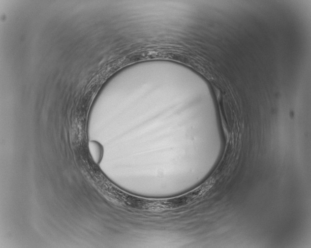 X0000051250703200507152150