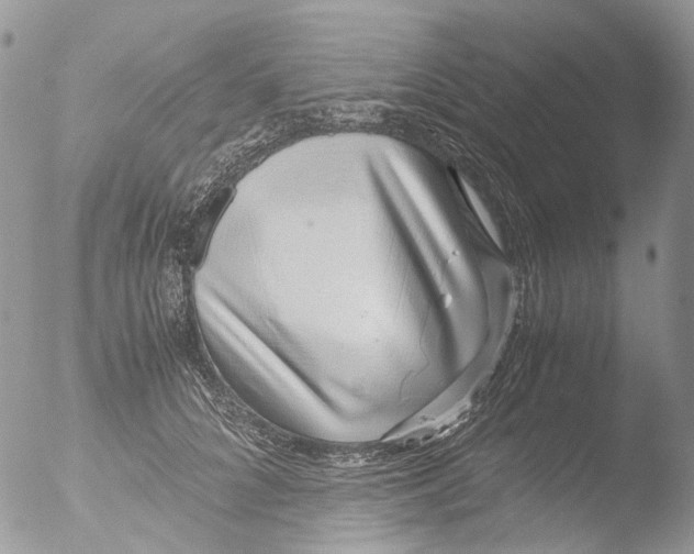 X0000051250704200507152150