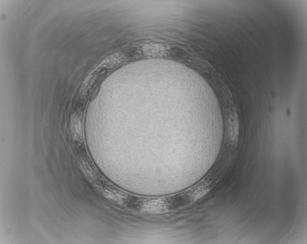 X0000051250705200507152150