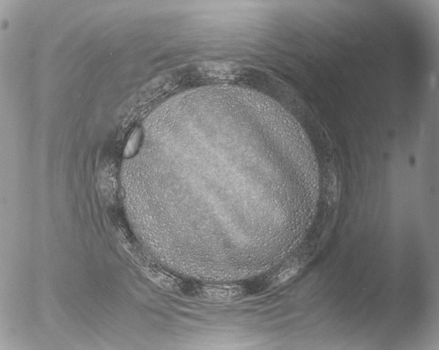 X0000051250707200507152150