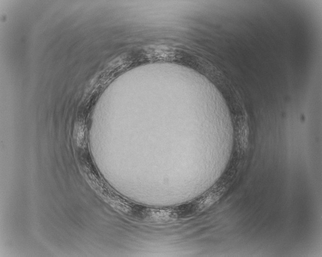 X0000051250709200507152150