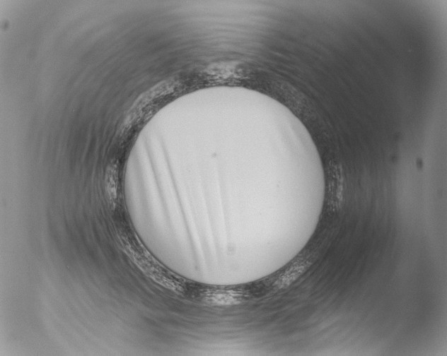 X0000051250710200507152149