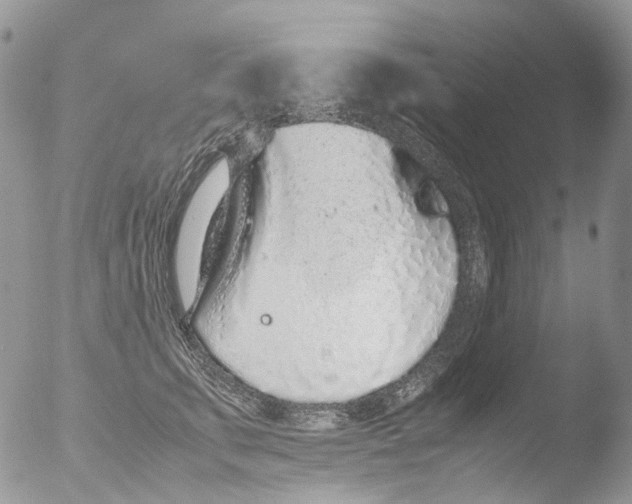 X0000051250711200507152149