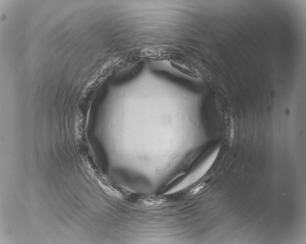 X0000051250712200507152149