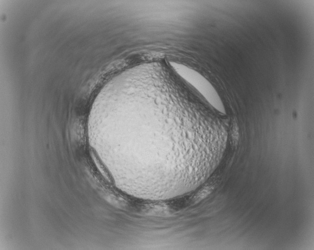 X0000051250715200507152149