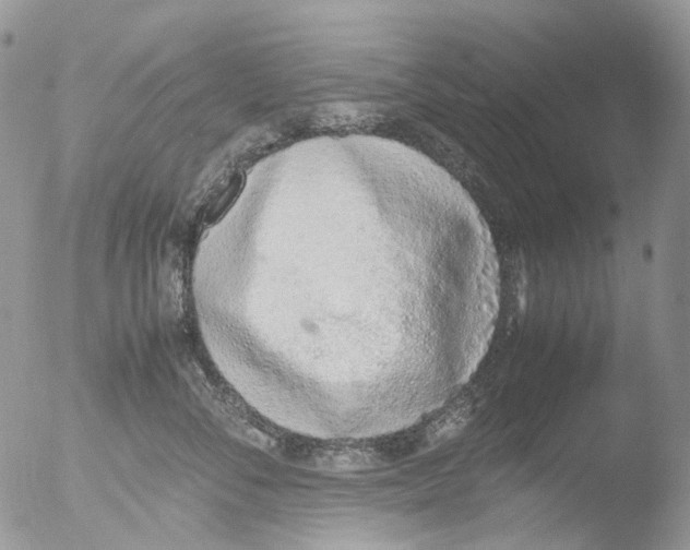 X0000051250716200507152149