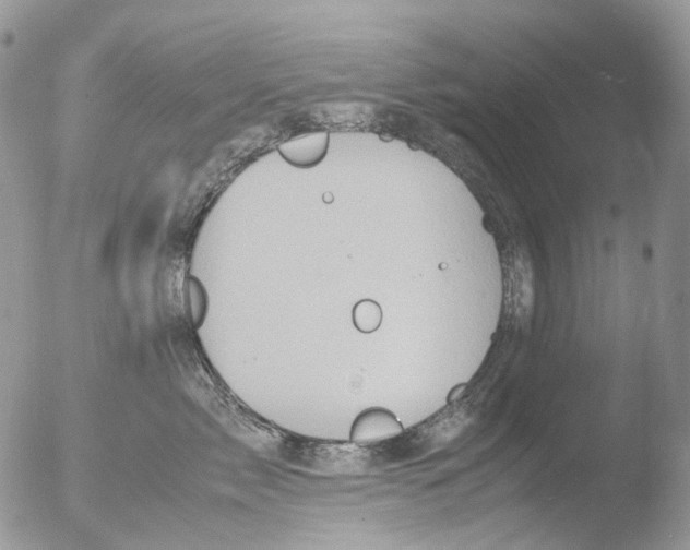 X0000051250717200507152149