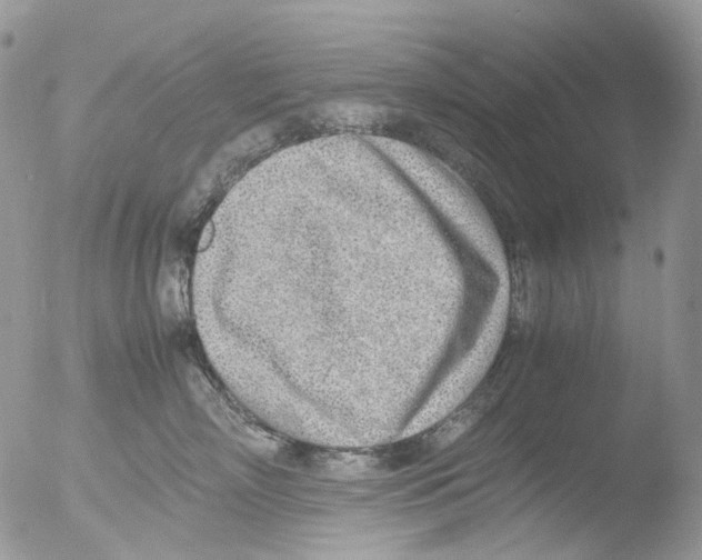 X0000051250718200507152149