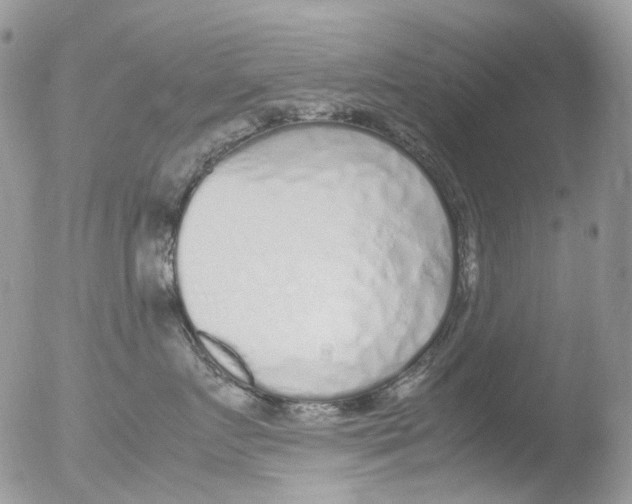 X0000051250719200507152149