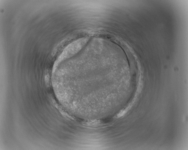 X0000051250720200507152149